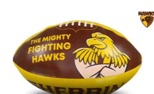 Hawthorn Hawks Sherrin Mini Soft Footy